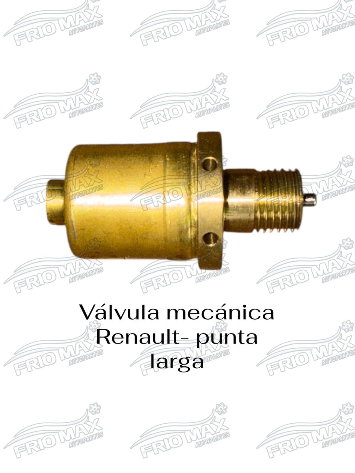 Valvula Renault Punta Larga